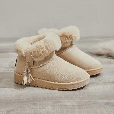 China Wholesale Fashion Trend 2021 New Design Winter Warm Outdoor Plush Ankle Anti-skid Snow Boots Women for sale