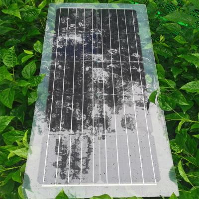 China 30W 40W 50W 60W 80W Solar Panel PET Semi Transparent Solar Panel 1000V for sale