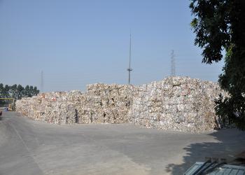 China New Bamboo Paper Co., Ltd