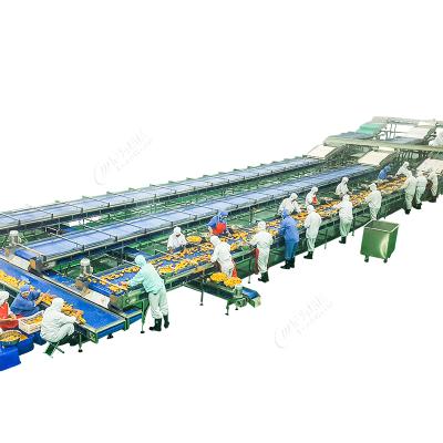 China Automatic Production Iron Cans Automatic PET Glass Plastic Bottle Jar Tomato Tin Can Production Line for sale