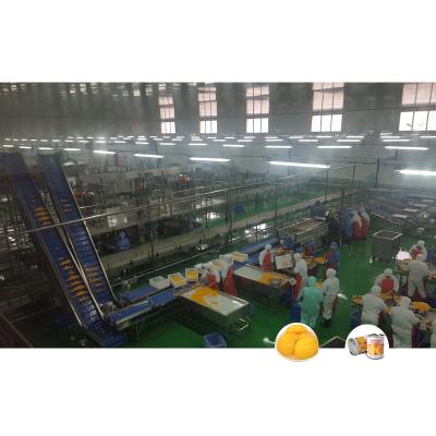 China Easy Operation Whole Line Yellow Peach Tinned Fruit Processing Process Canning Line Cans Machine for sale