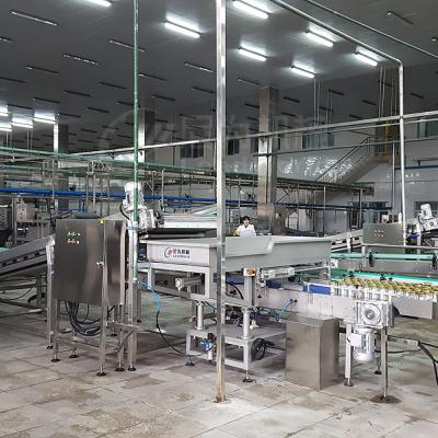 China High Efficiency Easy Operate Leadworld Custom Canned Mushroom Machine High Quality Mushroom Machinery Machine for sale