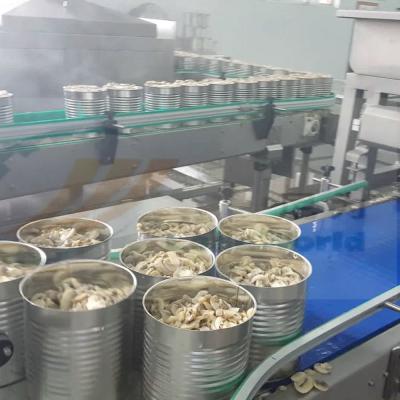 China High Efficiency Easy Operate Canned Mushroom Canning Machine Sprinkle Food Box Food Canning Machine Processing Line for sale