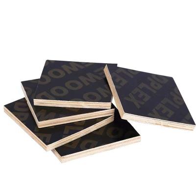 China Various modern promotional goods using formwork film plywood 15mm 17mm 18mm for sale