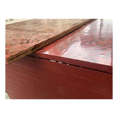 China High Grade Modern Special Hot Selling Environmental Solid Laminated Bamboo Wood Plywood for sale