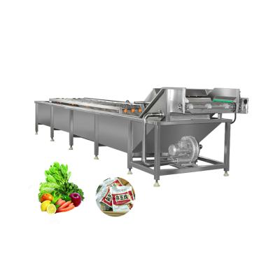 China Factory supply air bubble vegetable and vegetable washing machine direct fresh fruit and vegetable washing machine for sale