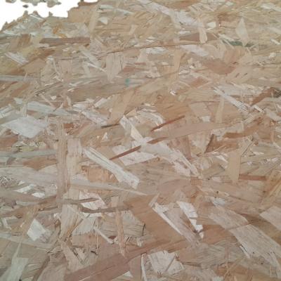 China Traditional Best Price Pine/Poplar/Combi Flake Board for sale