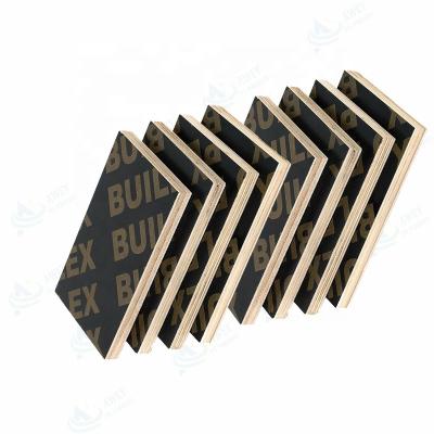 China Singer traditional standard block 17mm 18mm joint black film faced plywood/fingerjoint film face plywood for sale