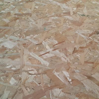 China Lin YI OSB Traditional WBP/PMDI/MR Glue Waterproof Board for sale