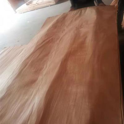 China Good Quality Contemporary Mahogany Veneer Decorative Natural Sliced ​​Wood Veneer for sale