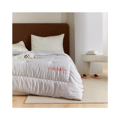 China Winter Cotton Warm Comforter Wide Daily Life Use, Super Soft And Quick Warm Comforter, Comforter for sale