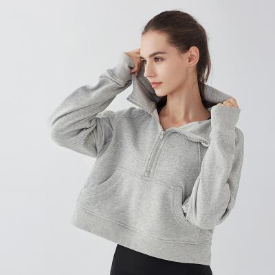 China Hot Sale Fashion Anti-pilling Half Zipper Wide Neck Zipper Sports Long Sleeve Terry Hoodie For Women French for sale