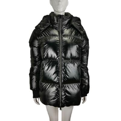 China High Quality Breathable Lastest Ladies Coated For Ladies Winter Coats For Ladies Women for sale