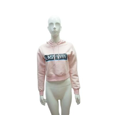 China Custom Logo Anti-pilling Cotton Long Sleeve Pullover 100% Plain Crop Top Women's Hoodies Sweatshirts For Gym for sale