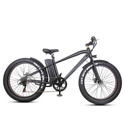 China 2023 new 36V 300W adult electric ebike aluminum alloy road tire fat mountain model for sale