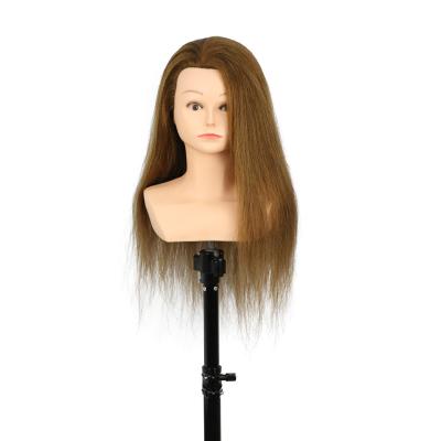 China Hair Cut Dummy Head 22inch Hair Mannequin Head 100% Practice Wig For Styling Hair for sale