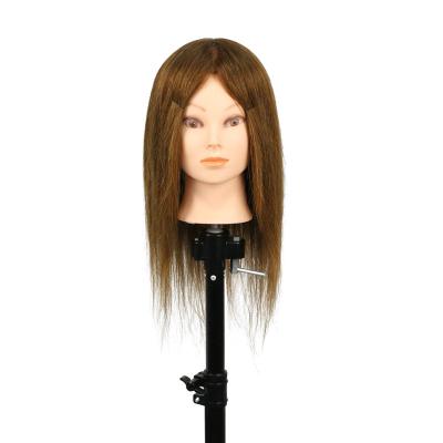 China Hair Cut 100% Real Cheap Chinese Hair Mannequin Hairdressing Training Heads Non-remy Hair 8-32inch for sale