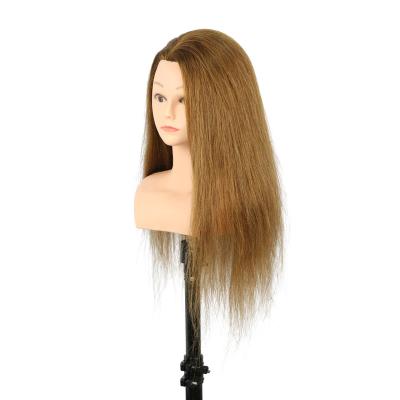 China Hair Cut High Quality Female Hair Mannequin Head With Shoulder Hairdressing Practice 22in Professional Training Head for sale