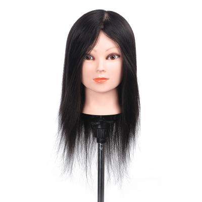 China Hair Cut Hairstyle Head 100 Hair Afro Training Mannequin Doll Training Head for sale