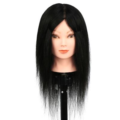 China 100% Haircut Tianrun Hair Training Head With Shoulder Hair Styling Mannequin Practice Head Realistic Dye Coloring Dolls for sale