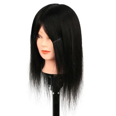 China Hair cut head hairdresser 100% real hair manikin head training mannequin head cosmetology doll wholesale for sale