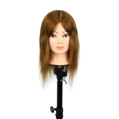 China Hair Training Head Tianrun Hair Top Selling 1pieces 12inch 4# 100%human Hair Training Mannequin Training Head Afro for sale