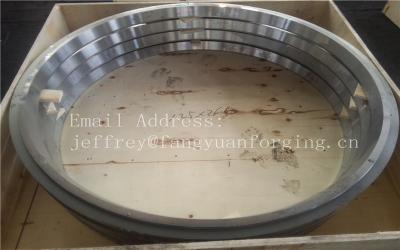 China Heat Treatment Stainless Steel Forging 1.4541 S32100 X10CrNiTi189 SUS321 304S12 for sale