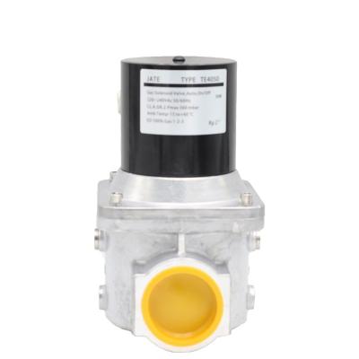 China General Gas Equipment Valve TYPE-TE4050 Solenoid Control Valves For Gas Burner Solenoid Valve Burner Adjuster for sale