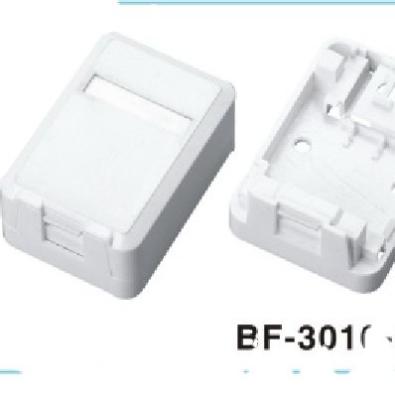 China Structure Cabling System Keystone Jacks PORT BF-30101 Outdoor Box Mount For cat5e cat6a cat7 cat8 for sale