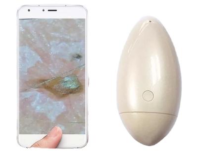 China Manufacturer Portable Digital PriceMini Dermatoscope Camera Skin Wrinkle Analyzer Wireless WiFi Skin Analyzer Skin Analyzer for sale