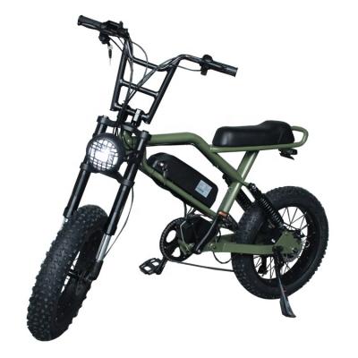 China Factory 500W Motor Unisex Electric Mobility Scooter Electric Bike Non-Folding Motorcycle for sale