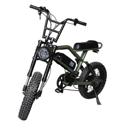 China 2020 Unisex Mobility Ebike Two Wheels Non-Foldable E-scooter, Electric Fat Bike for sale