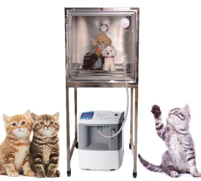 China For Animal Treatment: New Type Timing Function Veterinary Equipment Portable Electric Oxygen Machine For Veterinary Clinic for sale