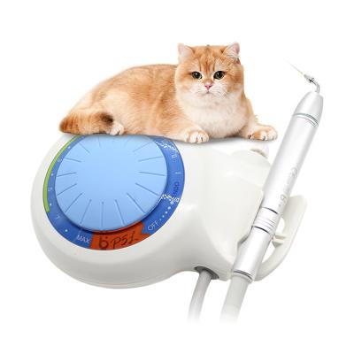 China 250V/T 1.6 AL Portable Electric Scaler Machine Pet Scaler Dental Veterinary Equipment Dental for sale