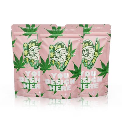 China Eco Friendly Disposable Stand Up Pouches Biodegradable Stand Up Pouch Mylar Bag Packaging for sale