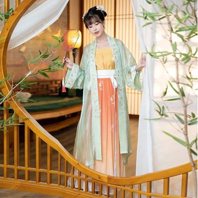 China Modern Chinese Traditional Adult Hanfu Song Dynasty Embroidery Women's Hanfu Dress for sale