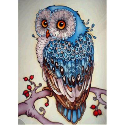 China Modern DIY 5D Diamond Painting Kits for Adults and Kids Owl Colorful Full Drill Round Diamond Crystal Gem Arts Painting for Home Decor for sale