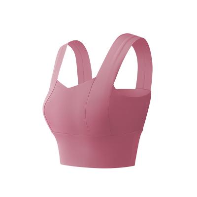 China Free Sample Breathable Fitness Sportswear Wholesale Seamless Women's Breathable Yoga Bra Print Lightweight OEM Service Eco-Friendly Adults for sale