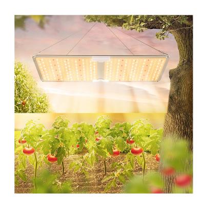 China VEG 120w 240w 480w Dimmable Led Grow Light Imitate Sunlight Promote Plant Growth Full Spectrum for sale