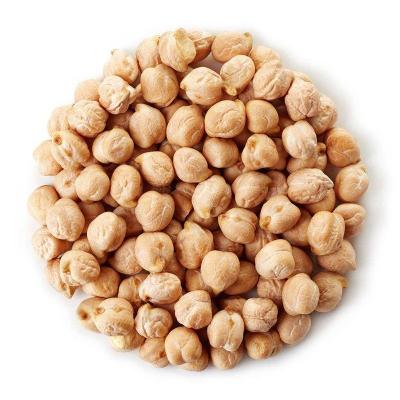 China Halal Certificate Sugar Free Bean Snacks Roasted Chickpeas Wholesale and OEM Professional for sale