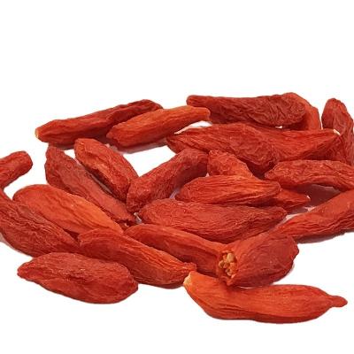 China Natural Dried Halal Dried Fruit Air Dried Goji Berry Wholesale Professional And OEM for sale