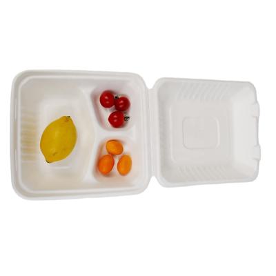 China B024 Chinese Biodegradable Disposable Sugarcane Takeout Box for USA Market 8 inch for sale