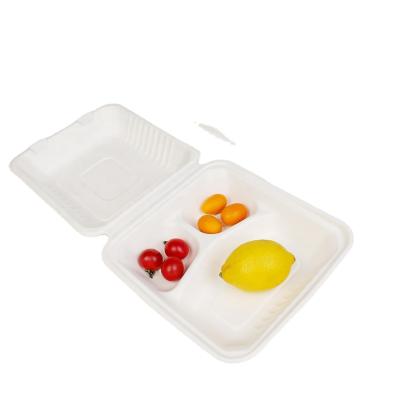 China B024 Disposable Sugarcane Disposable Fast Food Container With Food Grade 8