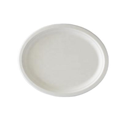 China Sustainable Eco Friendly Paper Pulp Sugarcane Bagasse Melamine Plated Halloween Cheap Biodegradable Dish And Plate Food Safe Approved for sale