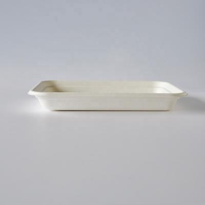 China Minimalist Biodegradable Disposable Bagasse Food Rectangular Sugarcane Tray T024 for sale