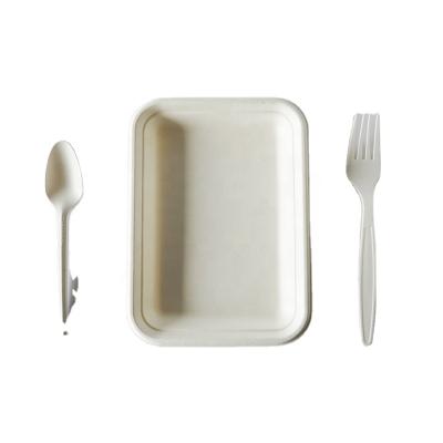 China Disposable Disposable One Time Use Dishes Bamboo Bamboo Dinner Tray Biodegradable T024 Customize Technology Packaging Style Food for sale