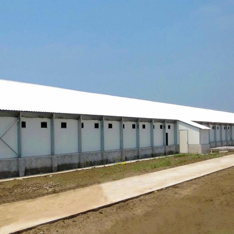 Verified China supplier - YANTAI BAGEASE POULTRY FARMING EQUIRMENT CO.,LTD