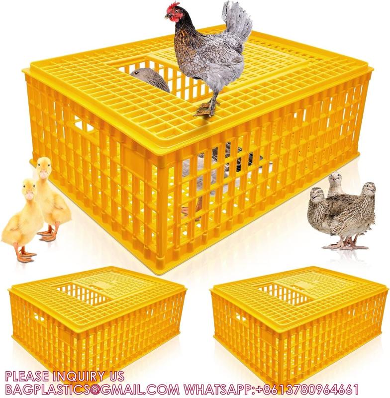 Verified China supplier - YANTAI BAGEASE POULTRY FARMING EQUIRMENT CO.,LTD