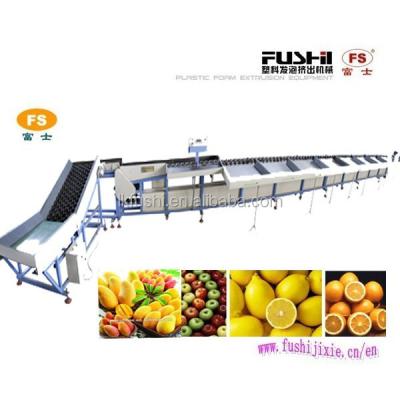 China Fruit Processing Plant Automatic Fruit Loading Electronic Grading Machine for sale