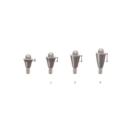 China Dental Implant Titanium Material Titanium Abutment Dental Implant Screw-Retained Abutment for sale